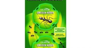 Ameisen-Köder Bestseller