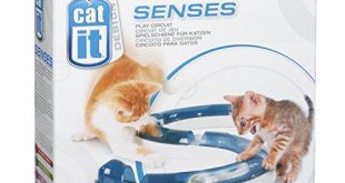 Katzenspielzeug Bestseller