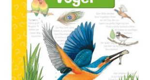 Vögel Kinderbuch Bestseller